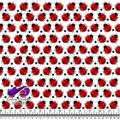 Red ladybugs on a white background