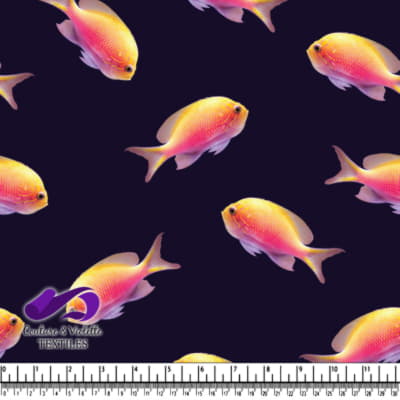 Vibrant Orange and Pink Fish on Dark Background
