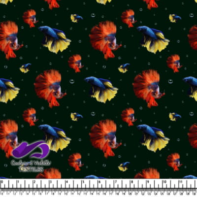 Motif Coloré de Poisson Combattant Siamois sur Fond Noir