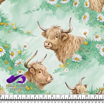 Vaches des Highlands dans un Pré Printanier