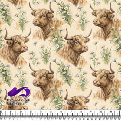 Vaches des Highlands avec Motif de Marguerites