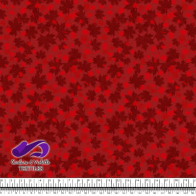 Canada 2022 - Mix leaf on dark red