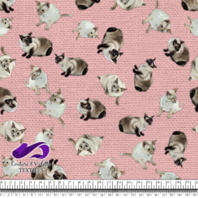 Siamese Cat - Frist blush pink