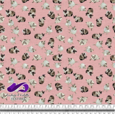 Siamese Cat - Frist blush pink