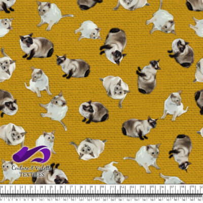 Siamese Cat - Golden Yellow