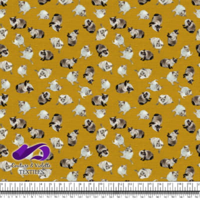 Siamese Cat - Golden Yellow