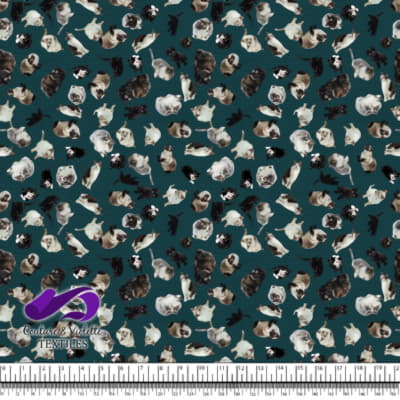 Cat - Cattery on deep teal texture