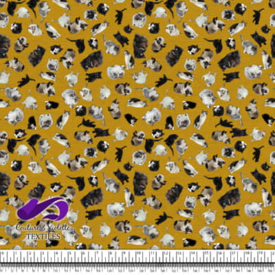 Black - Cattery on golden yellow texture