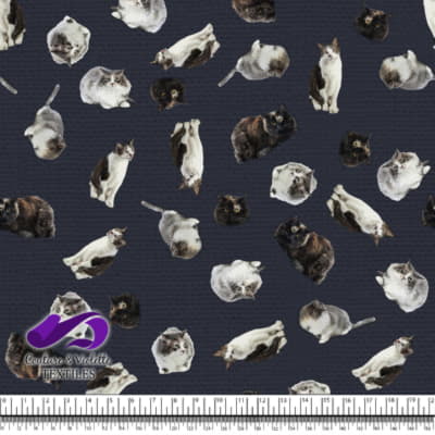 Cat  - Mademoiselle on After midnight blue texture