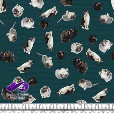 Cat  - Mademoiselle on deep teal texture