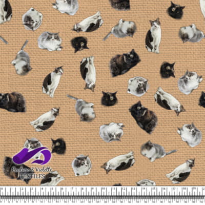 Cat  - Mademoiselle on desert mist texture