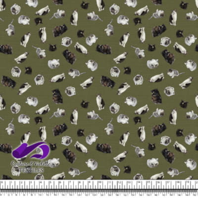 Cat  - Mademoiselle on olive texture