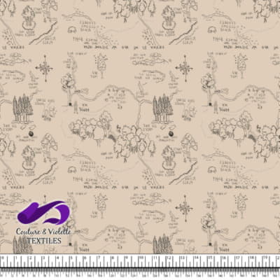 Winnie The Pooh - Map on Tapioca background