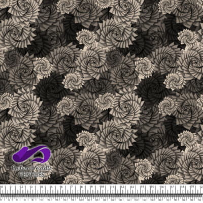 Nature Geometry - Plants on tapioca background