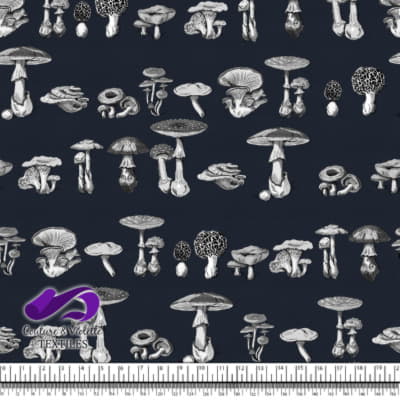 Vintage mushroom - Engravings - Blueberry