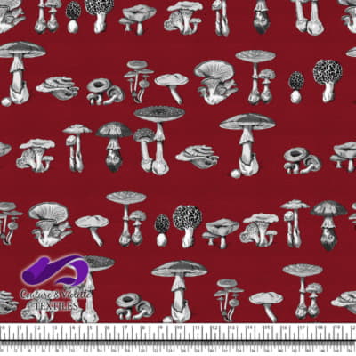 Vintage mushroom - Engravings - Lava fall