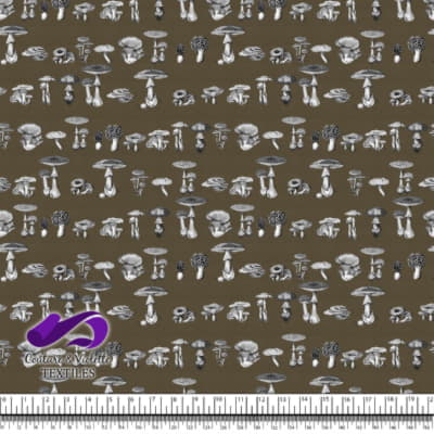 Vintage mushroom - Engravings - Martini olive