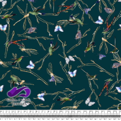 Midsummer Dream - Odonata - Dark sarcelle