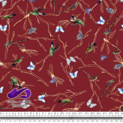 Midsummer Dream - Odonata - Winery