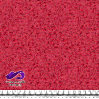 Petits Fruits - Raspberry