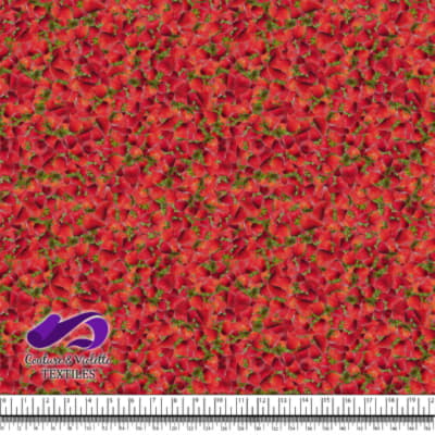 Petits Fruits - Strawberry