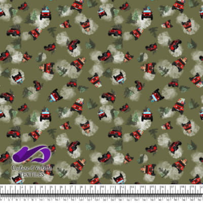 Noel country charm - 4x4 - Olive