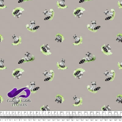 Small animals - Raccoon Silver cloud