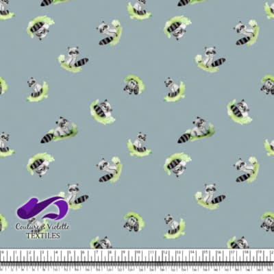 Smalls animals - Raccon - Blue cloud