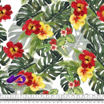 Tropical - Jungle hibiscus - White