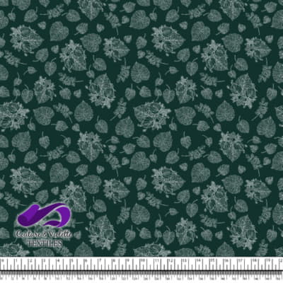 Monstera - Trait blanc - Growth