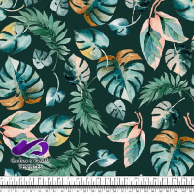 Monstera - Leaf - Growth